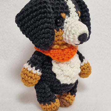 Bernese Mountain Dog