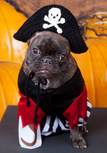 Puppy Pirate Hat in Red Heart Super Saver Economy Solids - LW2817