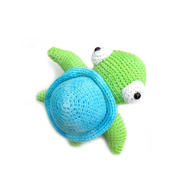 Bradley the Sea Turtle