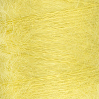 Lemon (21)