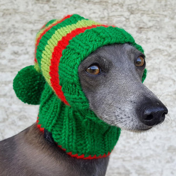 Santa Dog Hat