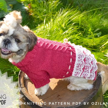 Lace cherry dress for dog