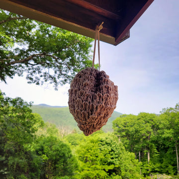 Decoy Wasp Nest For Knitters