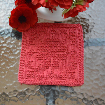 Dishcloth14