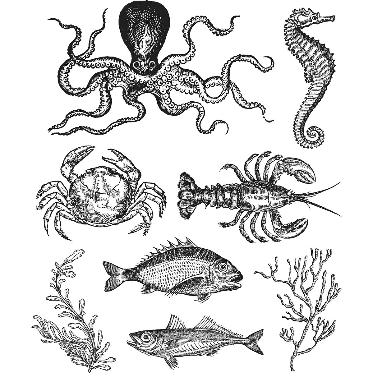 Stampers Anonymous Tim Holtz Cling Stamps 7"X8.5" - Sea Life