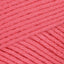Peony Pink (53417)