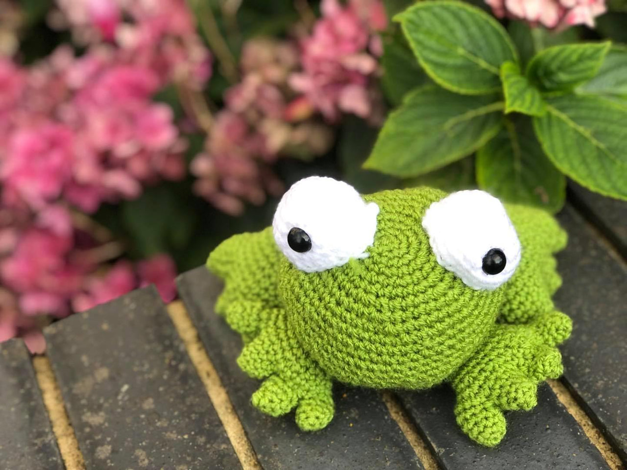 Frog