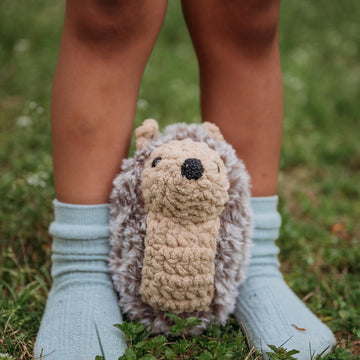 Henry Hedgehog