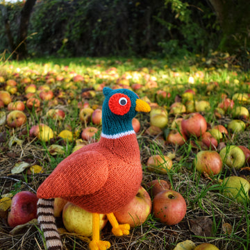 Philip the Pheasant