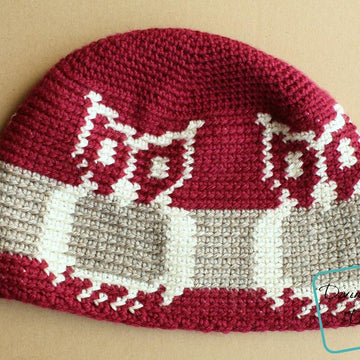 Alice Owl Hat