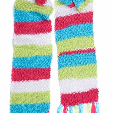 Bright Stripes Textured Scarf in Red Heart Super Saver Stripes - LM5806 - Downloadable PDF