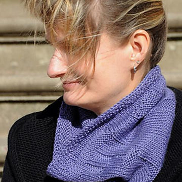 Berlin Skyline Cowl