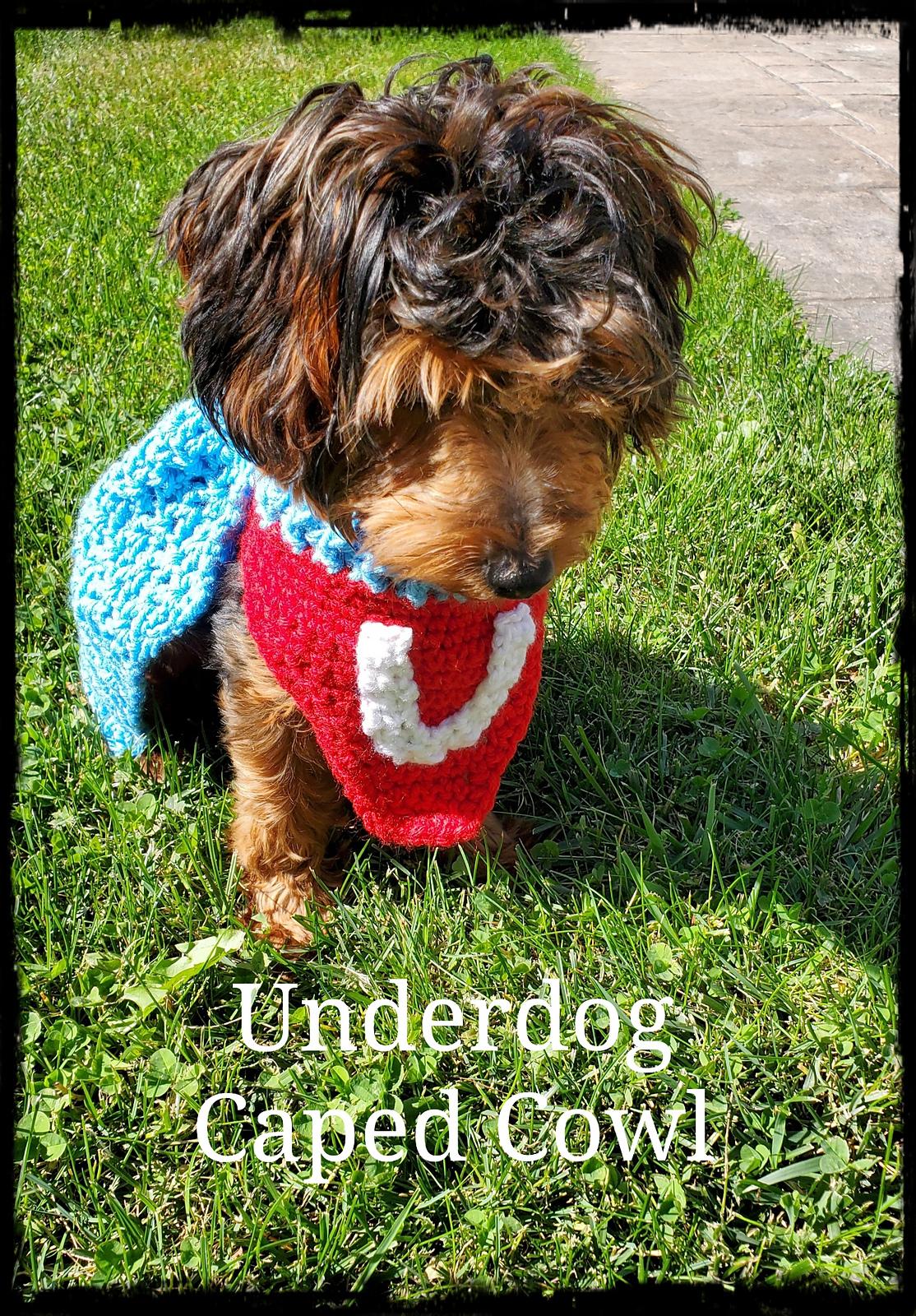 Underdog Dog Cowl