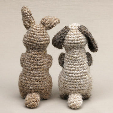 Poochey & Fudge the rabbits
