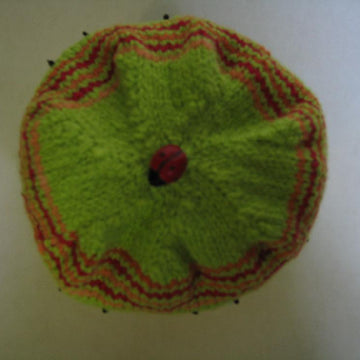 "Ladybugs Bring Good Luck" Beanie and Booties