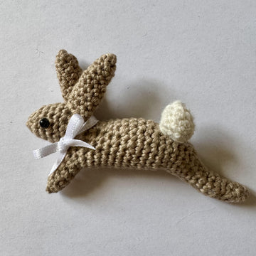 Leaping Spring Hare