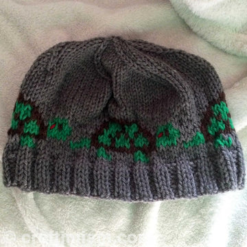 Red eared slider turtle hat