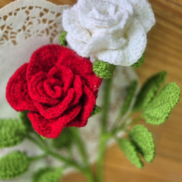 Rose hybrid bud