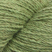 Wasabi (105)