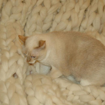 Giganto-blanket