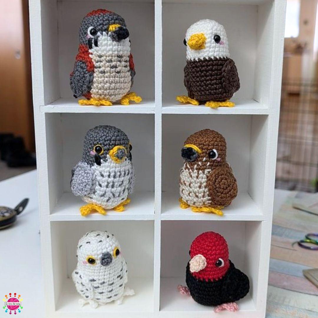 Pocket Birds of Prey
