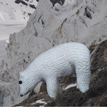 Arctic Animals
