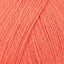 Koralle/Coral (39)