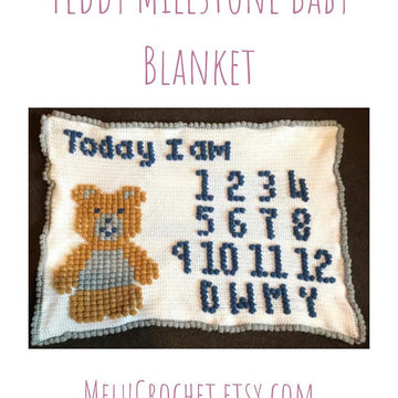 Teddy Milestone Blanket