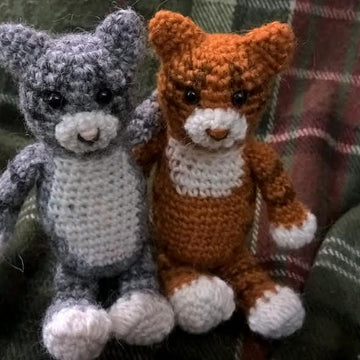 Martouf the cat