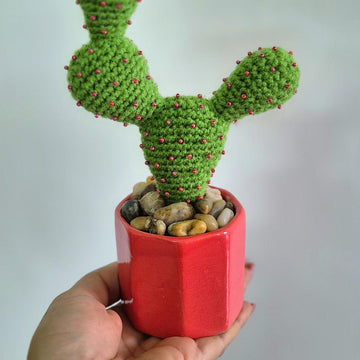 Prickly pear cactus