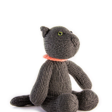 Sushi the Cat for Battersea