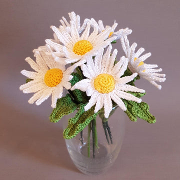 Daisy