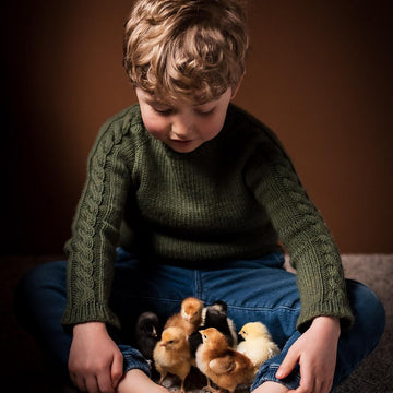 Vine Pullover