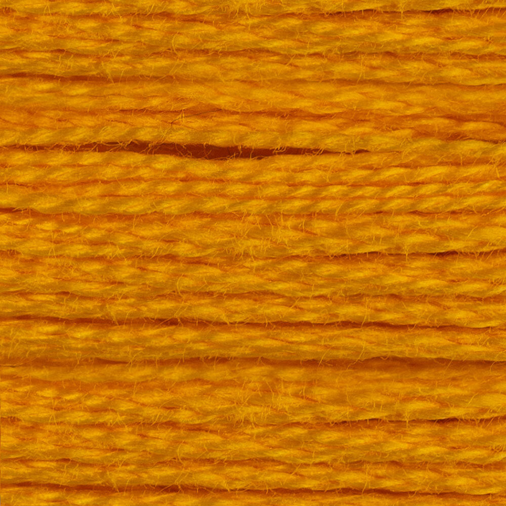 DMC Stranded Cotton - Warm Shades