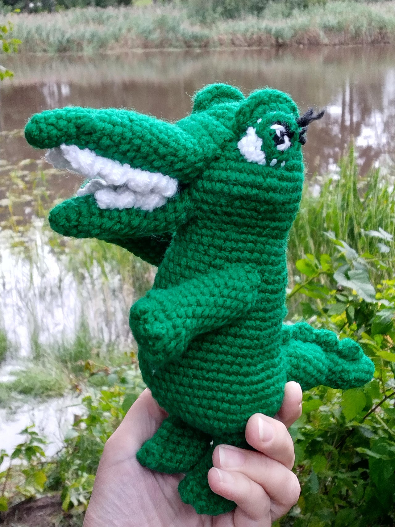 Mrs Crocodile - From my story book Who Wants Happy Hops’s Toothbrush?