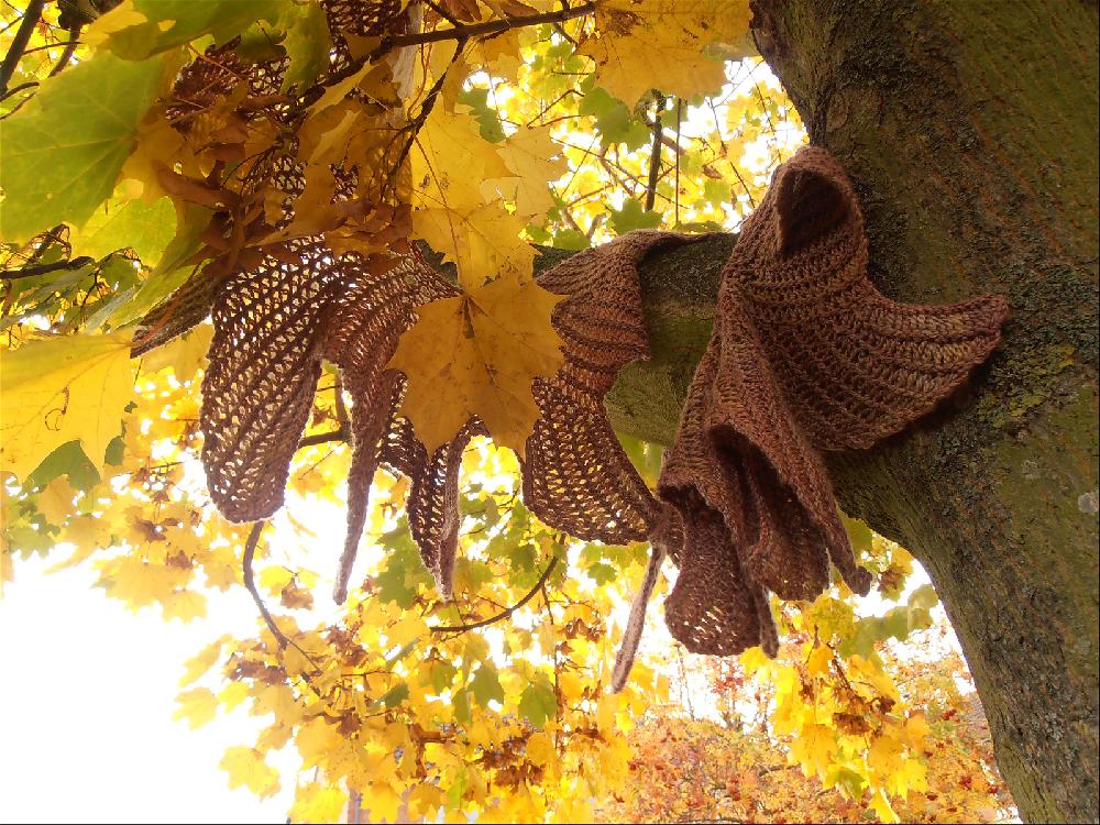 Sycamore scarf