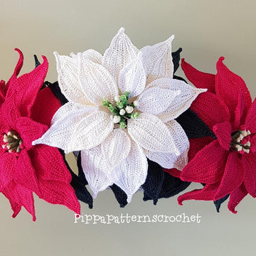 Poinsettia