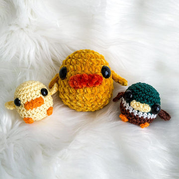 Chubby Baby Duck