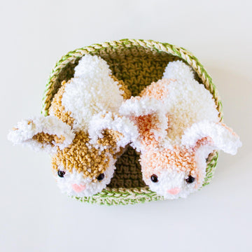 Flopsy and Mopsy