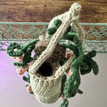Hanging Teenie Tiny Plant