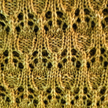 Amelia Shawl