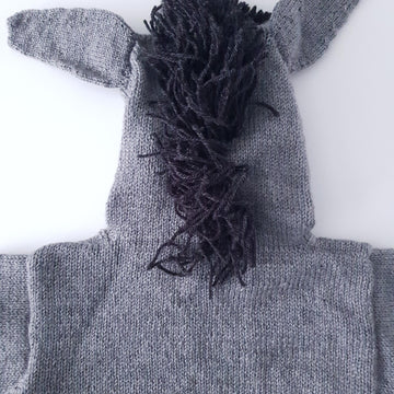 Little Donkey Hooded Sweater