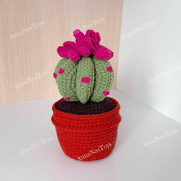 Cactus in a pot