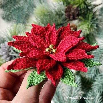 Poinsettia (Christmas Star)