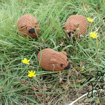 Little Wombat