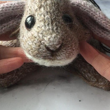 Baby bunny