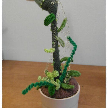 Pet Triffid