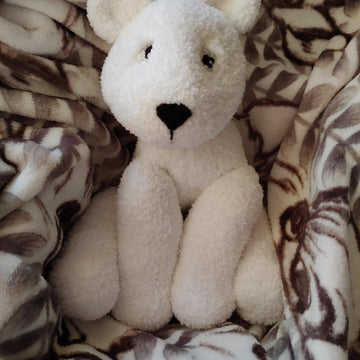 Polar Bear Cub
