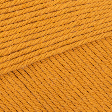 Glorious Gold (466)
