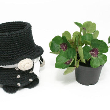 Chimney Sweep Gnome - Lucky Charm